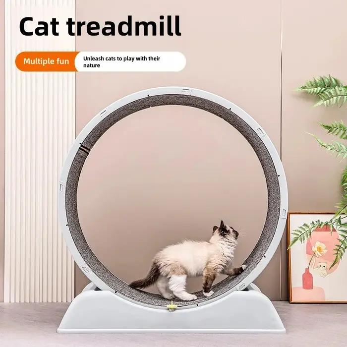 Tapis roulant pour animaux de compagnie