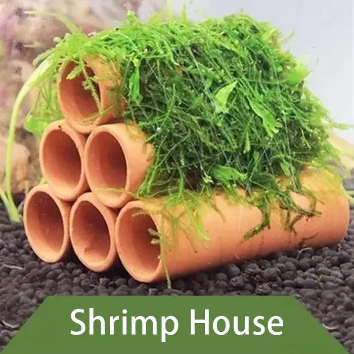 Décoration d'aquarium en argile, jeu de crevettes, abri de grotte cachette, poisson Betta Pleco cach