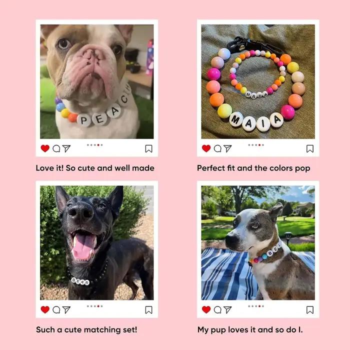 Collier de nom personnalisé en perles pour chiot avec bracelet coloré pour animaux de compagnie occasions spéciales