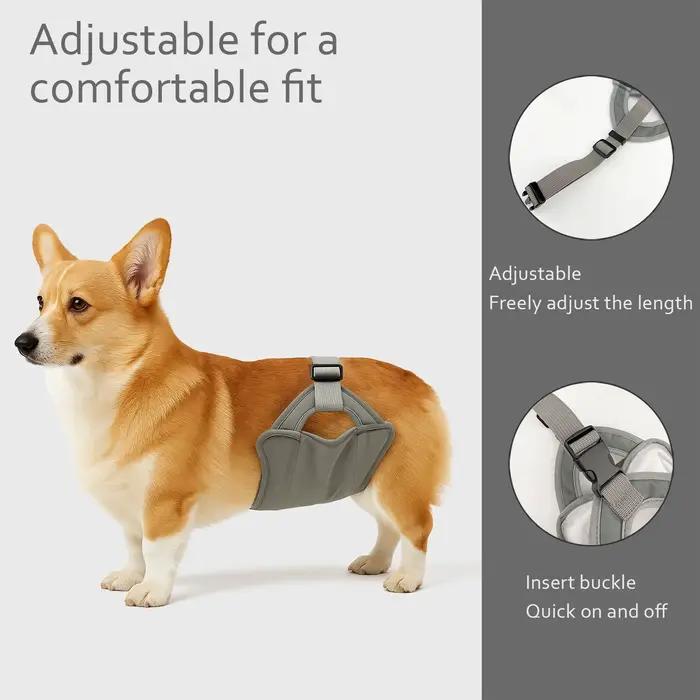 Nouveau pantalon physiologique pour chien mâle, idéal pour les promenades en extérieur, anti-harassement, prévention de la grossesse, pantalon sanitaire pour animaux de compagnie