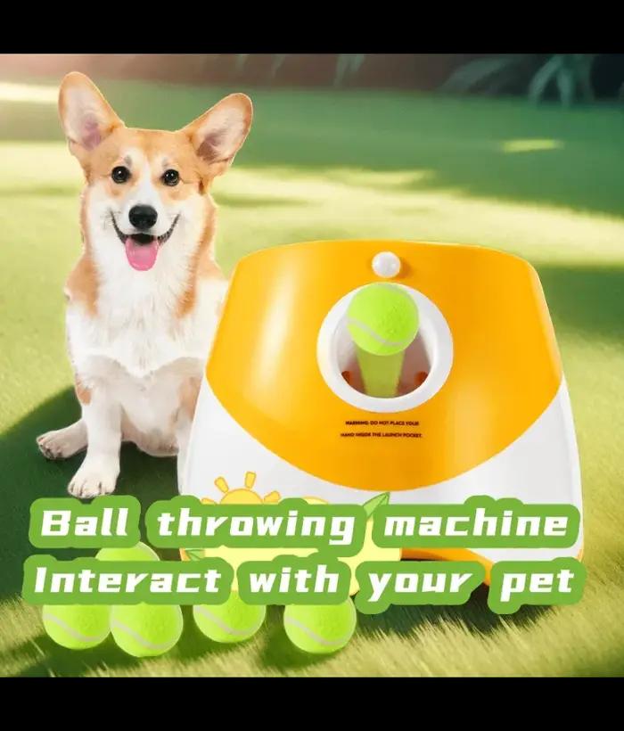 Lanceur automatique pour chiens