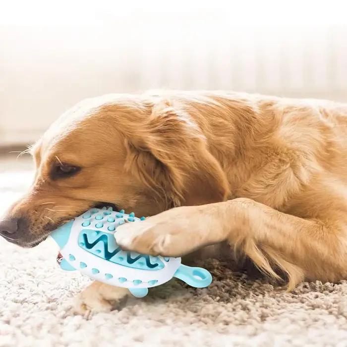 Jouets pour chiens, jouets de broyage des dents de morsure de chien