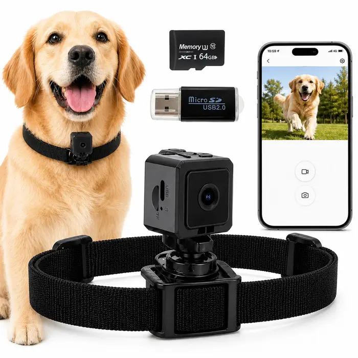 Collier caméra pour animaux de compagnie avec carte SD 64 Go