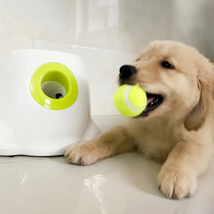 Catapulte pour chiens lanceur de balle de tennis balle de saut jouets Pitbull machine de lancer automatique pour chiens et animaux de compagnie jeux en plein air pour chiens et propriétaires occasions spéciales