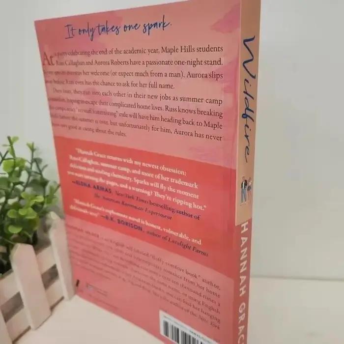 Livre de poche The Whispering Willows roman en anglais pour adultes voyage littérature anglophone fantastique et mystère Hannah Grace occaions spéciales cadeau original