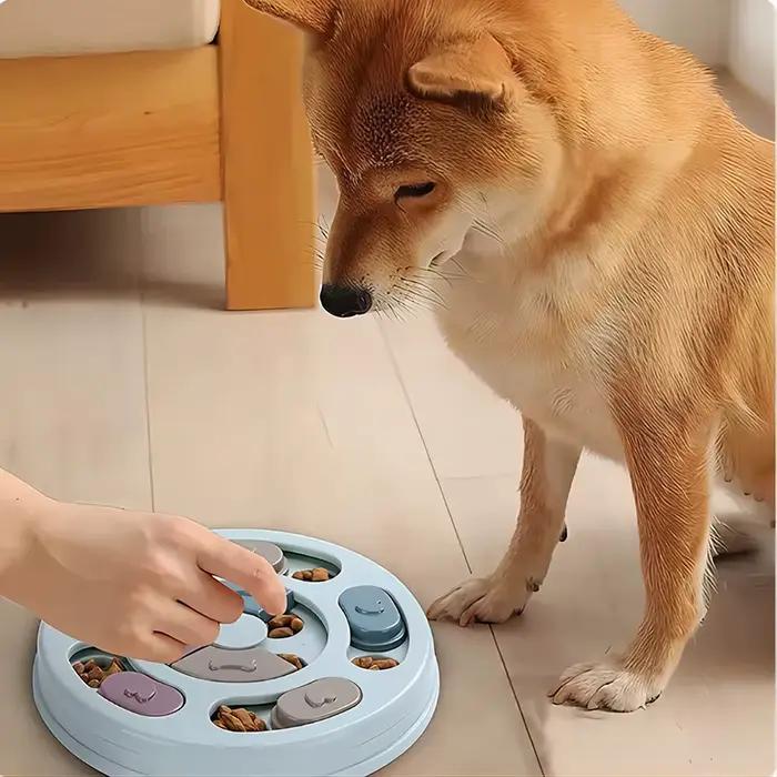 Jouet éducatif distributeur lent nourriture pour chiens intelligence chiots défis résolution de problèmes adaptabilité universelle chiens occaions spéciales