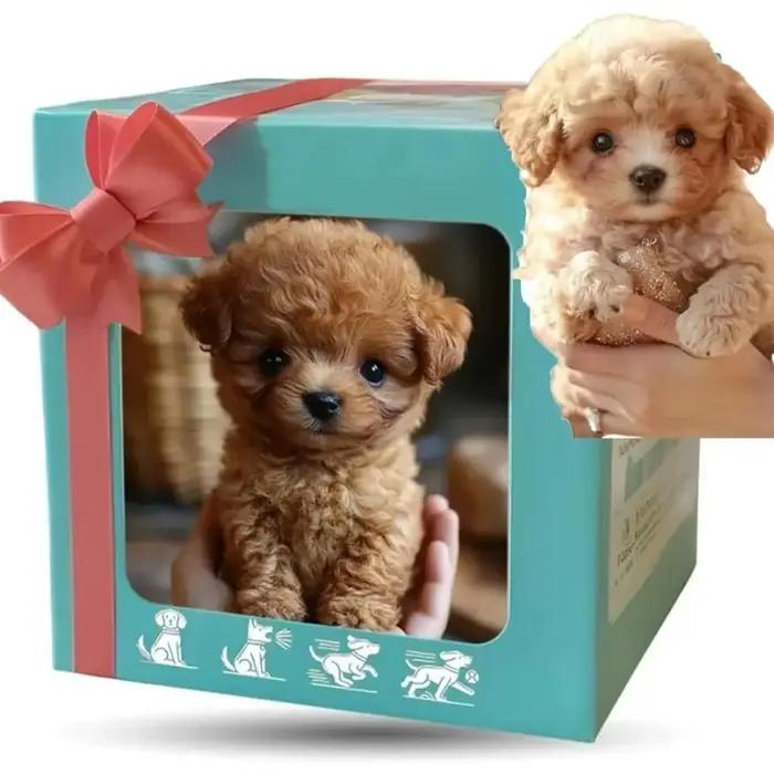 Robot chiot en peluche réaliste interagissant avec des piles AA cadeau pour anniversaire Noël Pâques occasions spéciales pour adultes adolescents