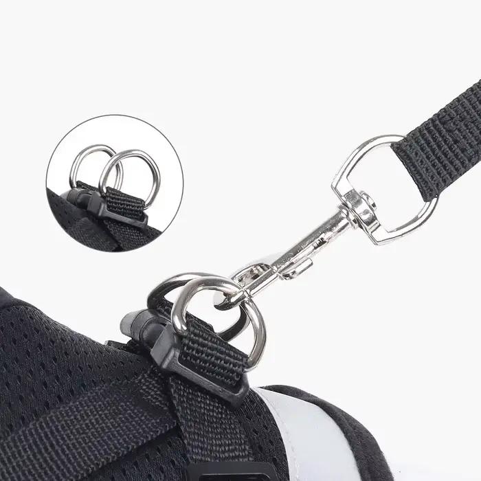 Harnais pour chat, ensemble de laisse en plomb