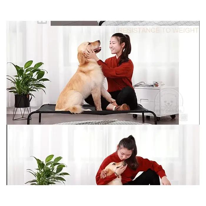 Lit de camping pour chien grande taille