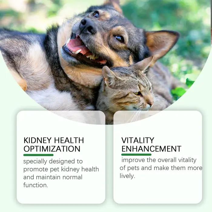 Complément de soin YEGBONG pour santé des reins chez chien et chat améliorant vitalité et énergie naturellement
