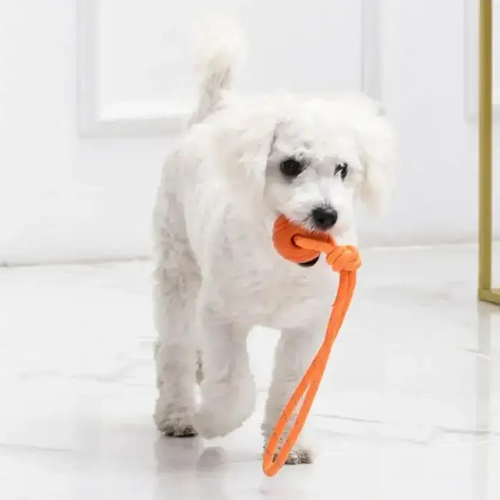 Balle d'Entraînement pour Chien en Coton