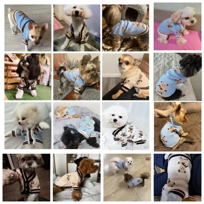 Vêtements de luxe pour chiens Chihuahua, Cardigan rayé pour animaux de compagnie, pull Bichon Frise,