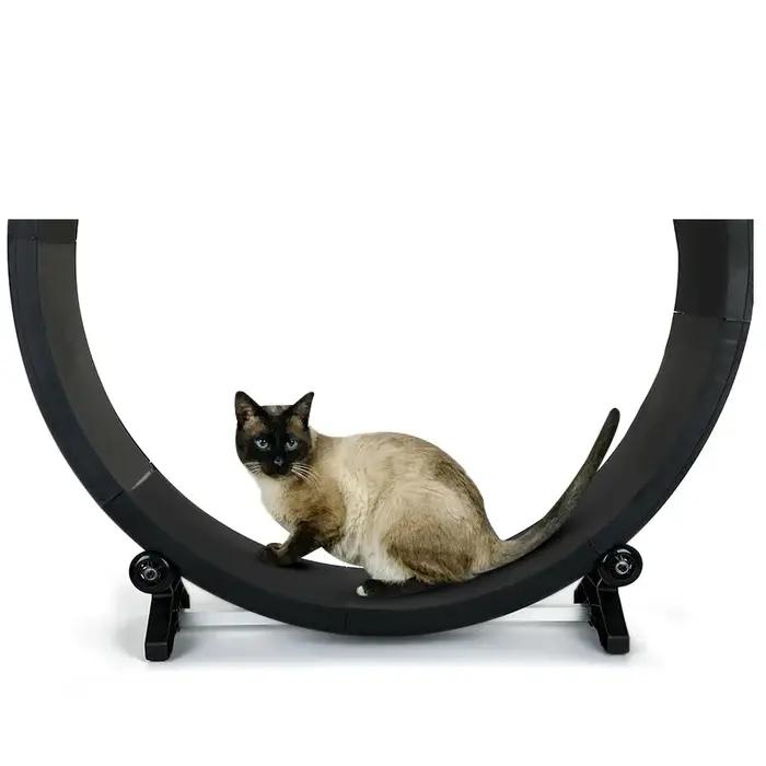 Tapis de course silencieux multifonctionnel pour animaux de compagnie