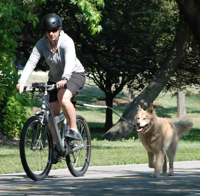 Laisse pour chien de marche de vélo, laisse pour chien, laisse de vélo élastique amovible pour chien, laisse en métal, Liugo de cyclisme
