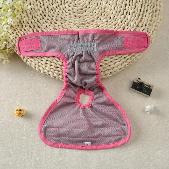 Culottes physiologiques réutilisables pour chiens protectrices pour petites moyennes et grandes tailles printemps été élégantes pour chiens occassions spéciales