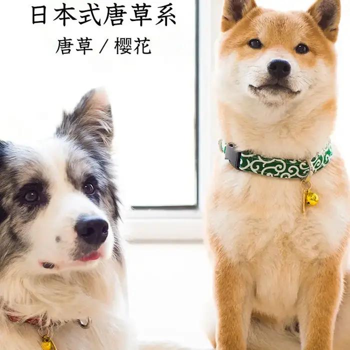 Colliers pour animaux de compagnie avec motif bronzé de style japonais pour chats et chiens de petite et moyenne taille élégants à offrir pour occasions spéciales