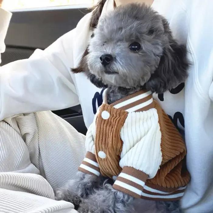 Veste de baseball brodée mignonne pour animaux de compagnie vêtements pour chiens chats de petite et moyenne taille