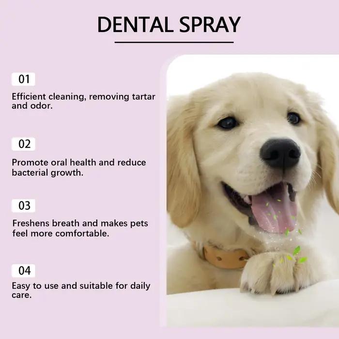 Spray buccal pour animaux de compagnie recommandé par les vétérinaires