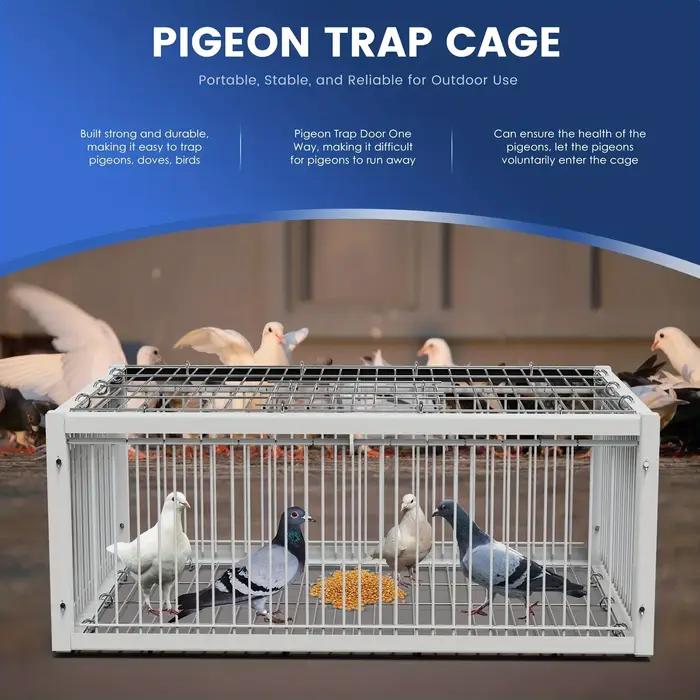 Piège à cage automatique robuste pour pigeons