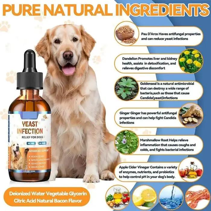 Gouttes vitaminées pour chiens et animaux de compagnie 60 ml – Soin doux et supplément nutritif pour maintenir un