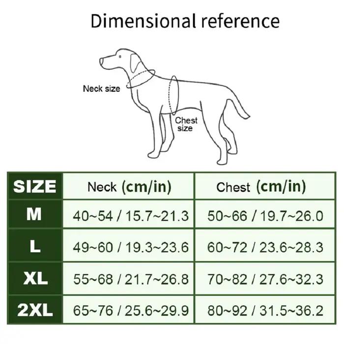Ensemble de harnais et de laisse en nylon pour chiens de taille moyenne et grande adapté aux promenades et au traînage toute l'année