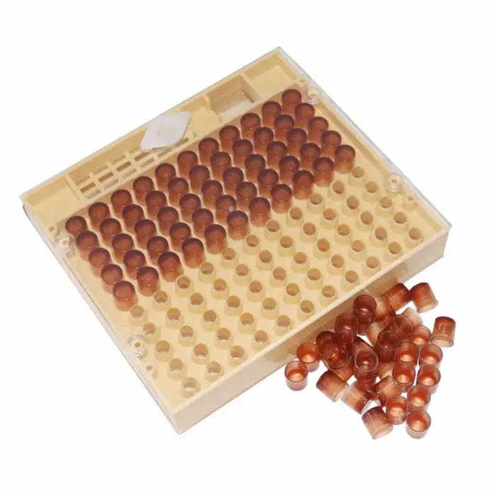 Boîte d'élevage équation Queen avec 120 pièces, cellule brune, équipement d'élevage pour apiculteur,