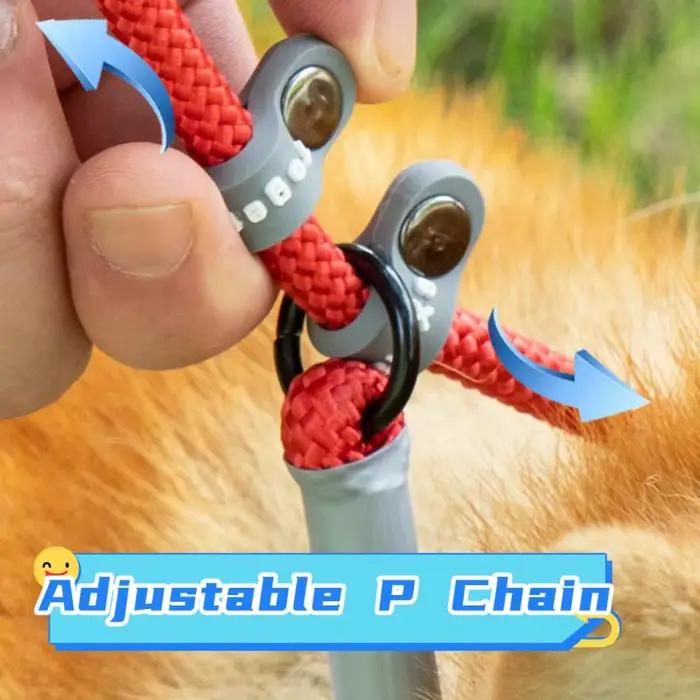 Laisse à double poignée réglable pour chien, fournitures pour animaux de compagnie, marche, chiot, P JODogs, 1.4m