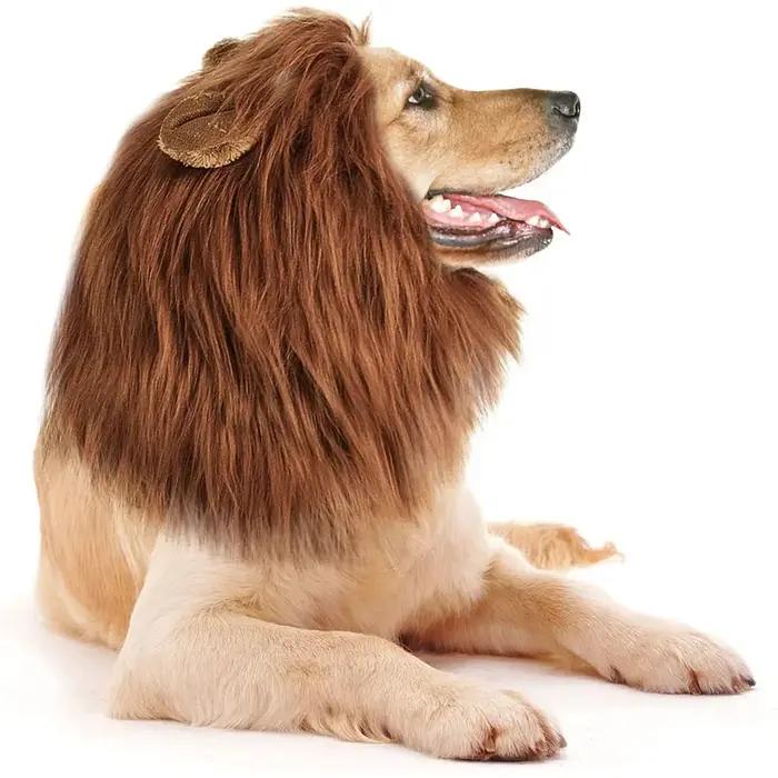 Vêtements de Cosplay pour chiens de compagnie