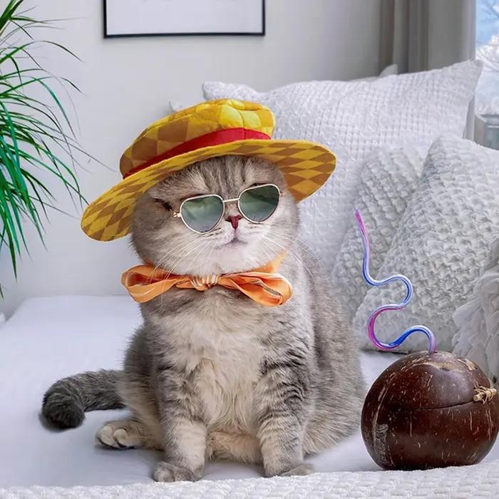 Lunettes de soleil réfléchissantes rondes vintage pour animaux de compagnie