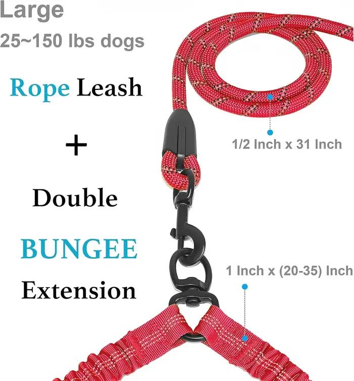 Laisse double pour chien