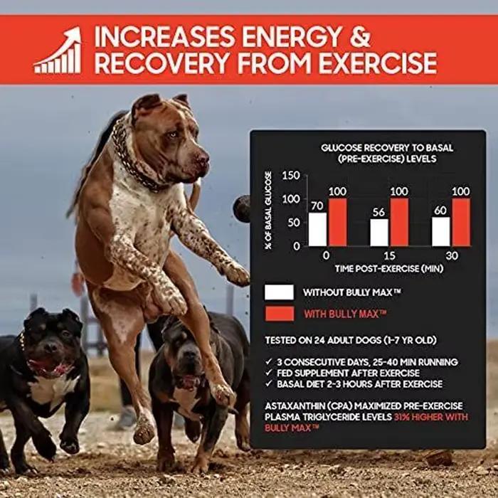 Constructeur musculaire liquide 3 en 1 Bully Max pour chiots et chiens adultes