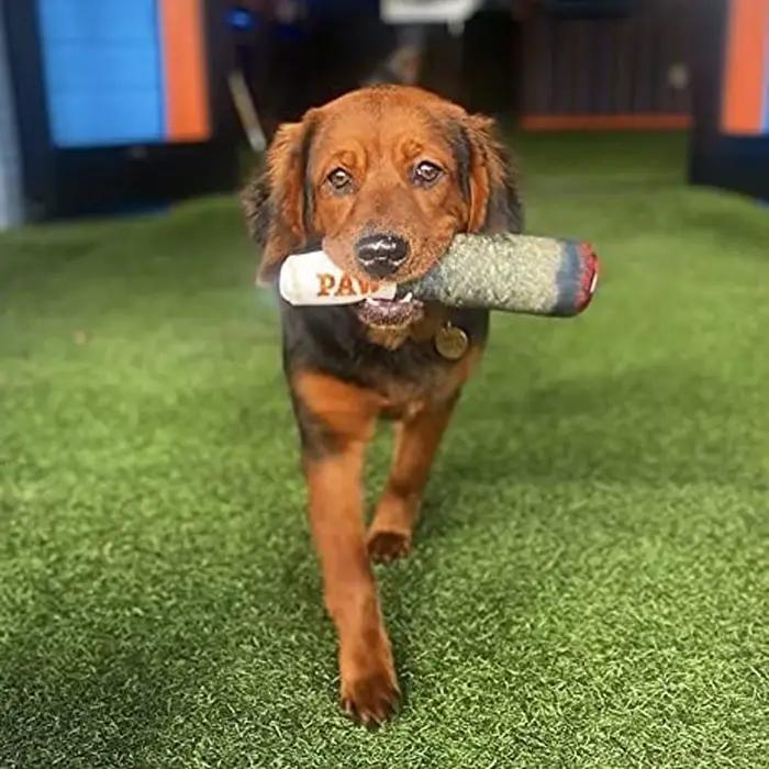 Jouet en forme de cigare pour chiens, peluche grinçante en polaire, blanc ou vert, jouet à mâcher pour chiots et chiens moyens, occasion spéciale pour votre animal de compagnon