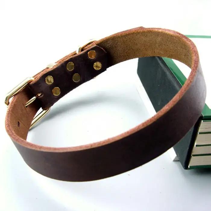 Collier pour chien robuste et classique