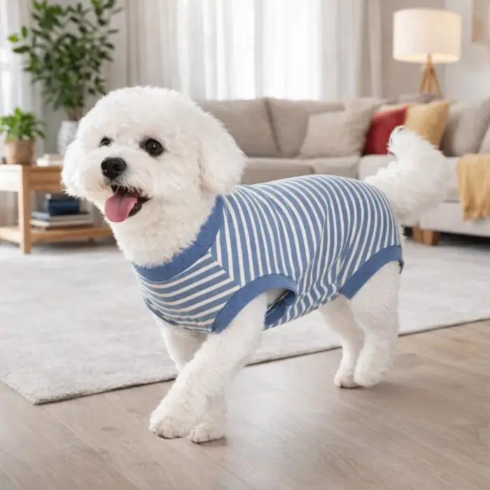 Combinaison pour chien à rayures