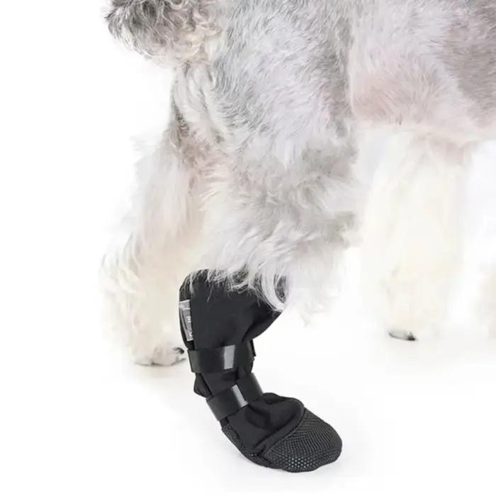Bottes de récupération pour chiens en lin douces et respirantes pour convalescence et protection des pattes occassions spéciales