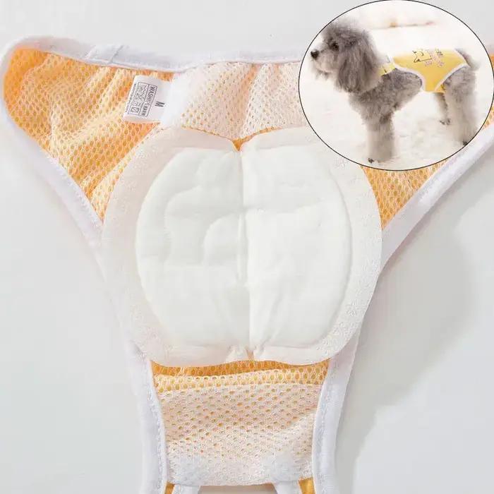 30 pièces couche-culotte pour chien pour femme
