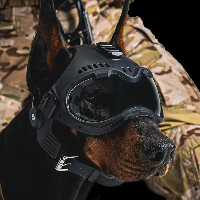 Casque protection chien tactique K9 avec rail fixation lunettes chasse entraînement grand