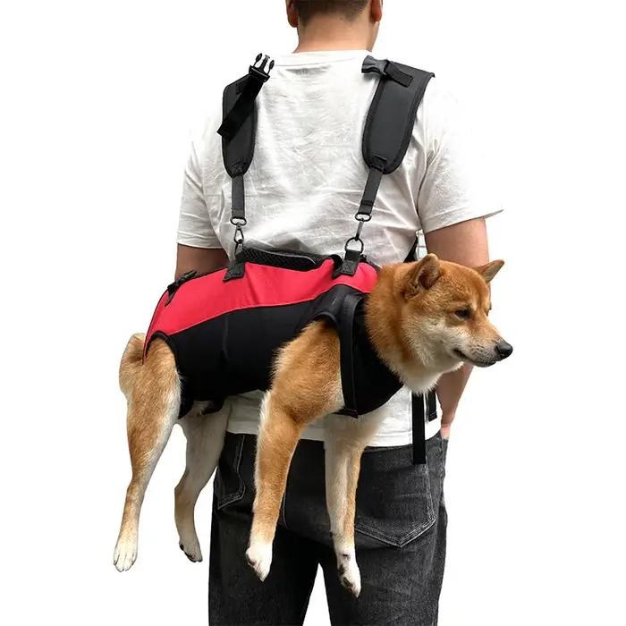 Sac à dos pour chien de cyclisme en plein air pour animaux de compagnie