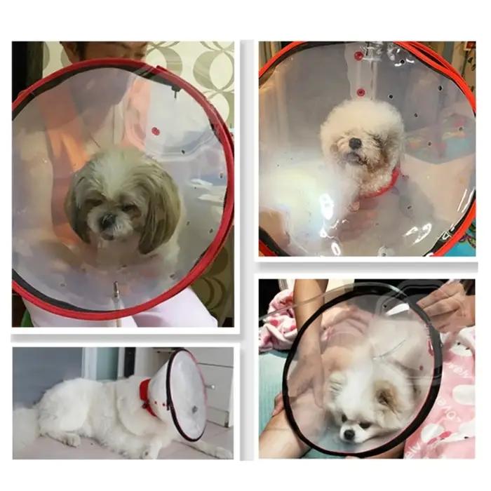 Masque à oxygène avec cordon serrage pour chiens