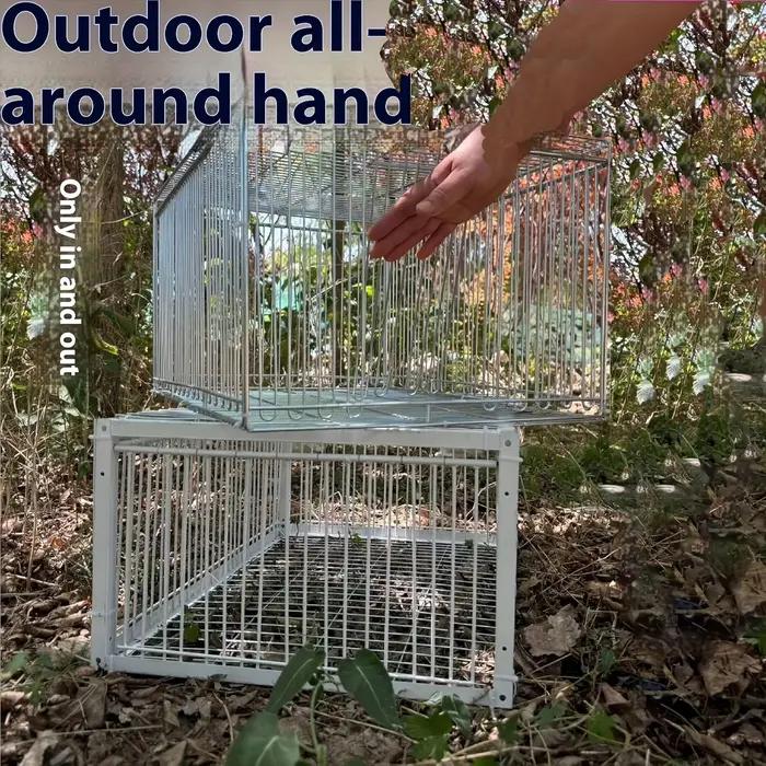 Piège à cage automatique robuste pour pigeons