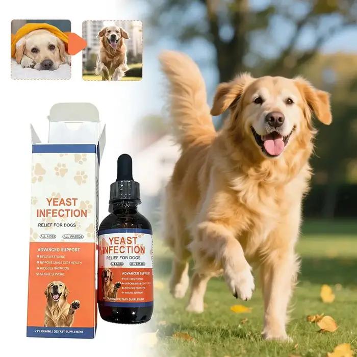 Gouttes Naturelles pour le Soulagement des Infections à Levures chez le Chien – Apaise les Démangeaisons
