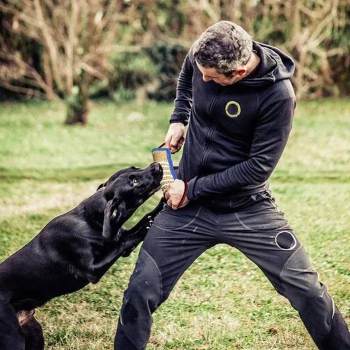 Bâtons à mâcher en jute durables pour l'entraînement des chiens de berger allemand
