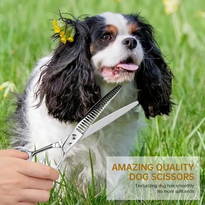 Ciseaux Amincissants Incurvés en Acier Inoxydable pour Chien et Chat