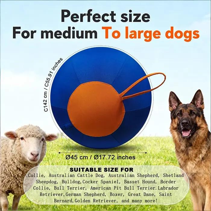 Balle interactive pour l'entraînement des chiens