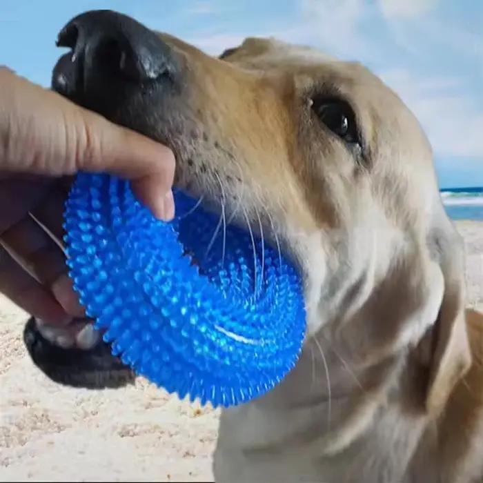 Jouet à mâcher épineux durable pour chien caoutchouc TPR non toxique nettoyage des dents meulage et interaction sonore pour chiots et chiens occasions spéciales