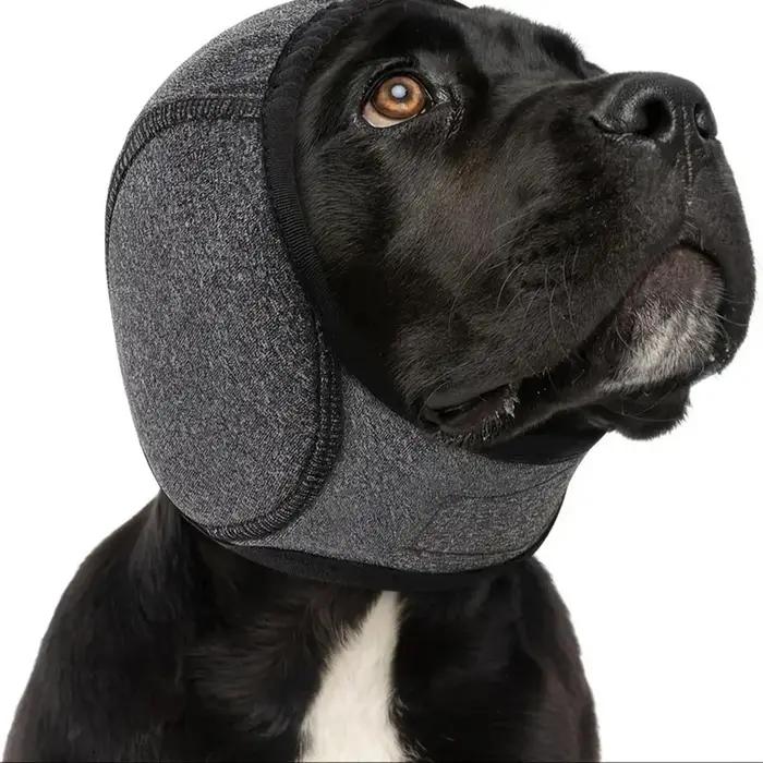 Réduction du bruit pour chien
