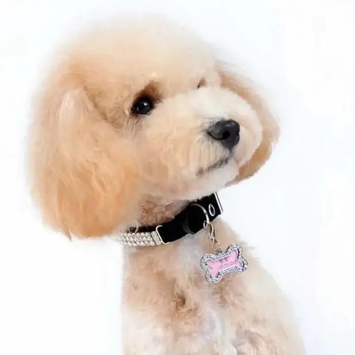 Collier pendentif en os argenté pour chien