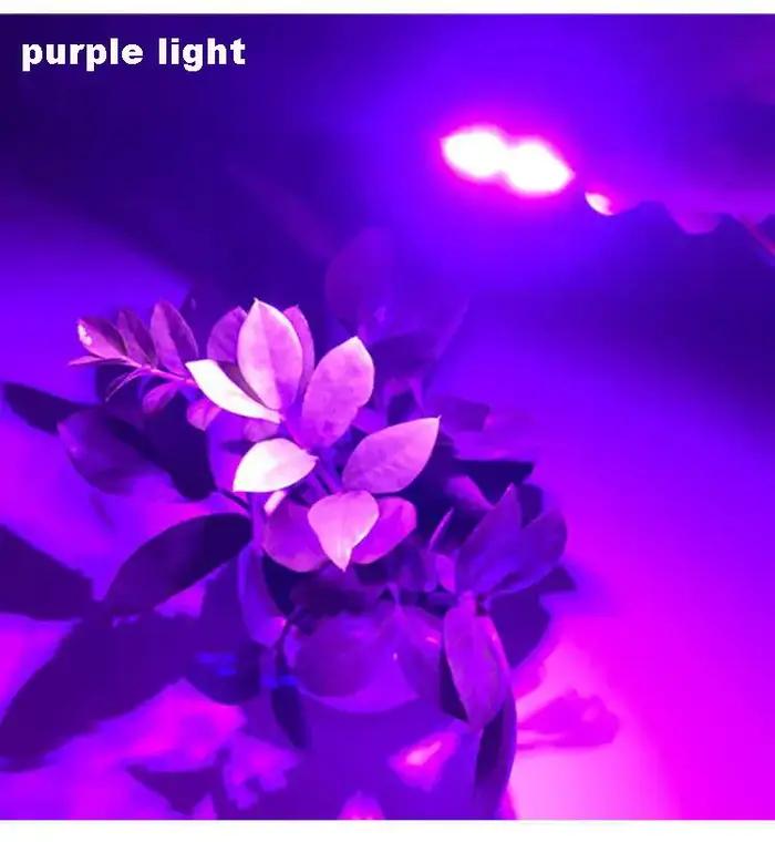 5/10 pièces 3W couleur puce LED perle lumières conseil ampoule ronde Transformation Source de lumière Dia 32MM vert bleu