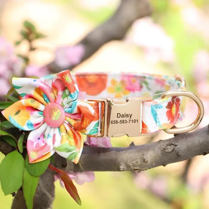 Collier de chien personnalisé imprimé pour fille avec nœud papillon floral