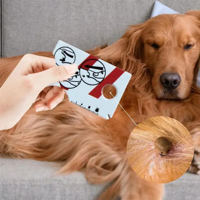 Carte anti-tiques avec loupe pour une extraction facile des tiques, extracteur de tiques pour chiens
